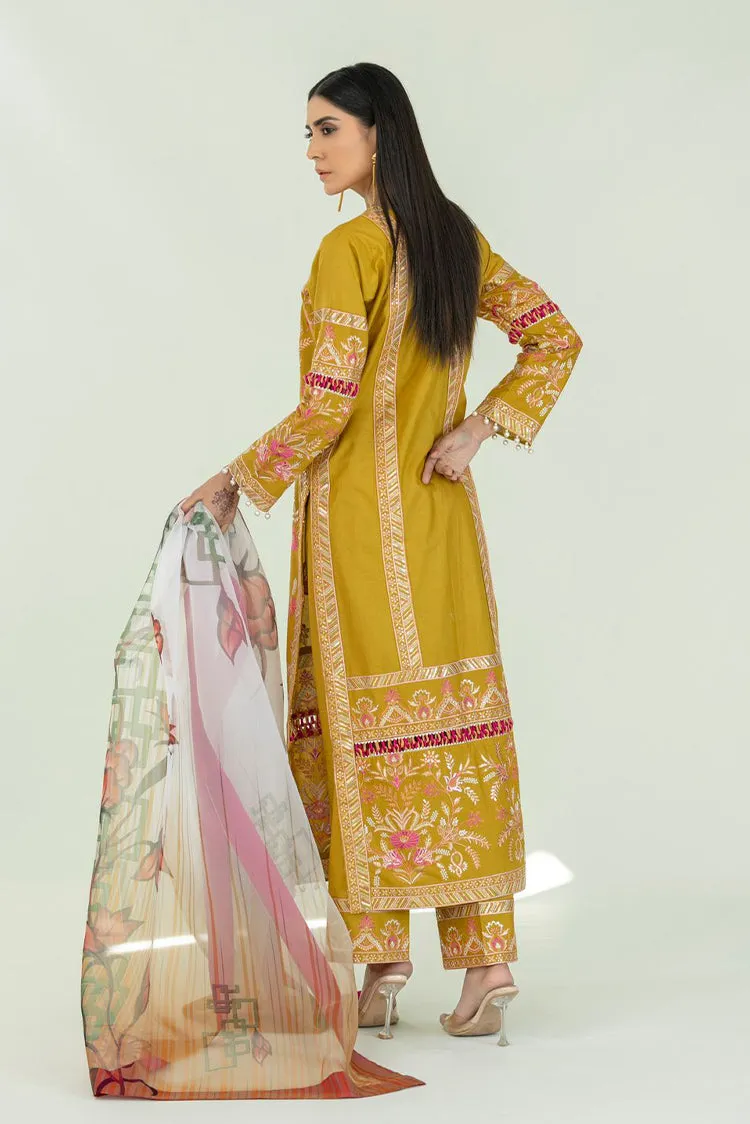 Ahmad Raza - Rang e Bahar - AR2073