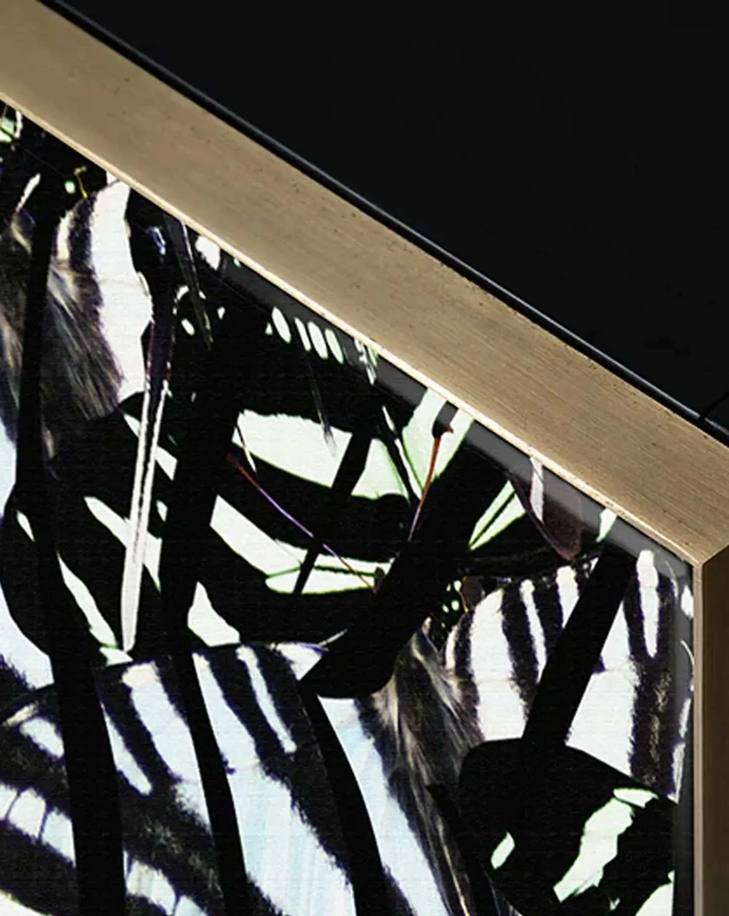 Felder Felder Cordelia Zebra Butterfly Cabinet