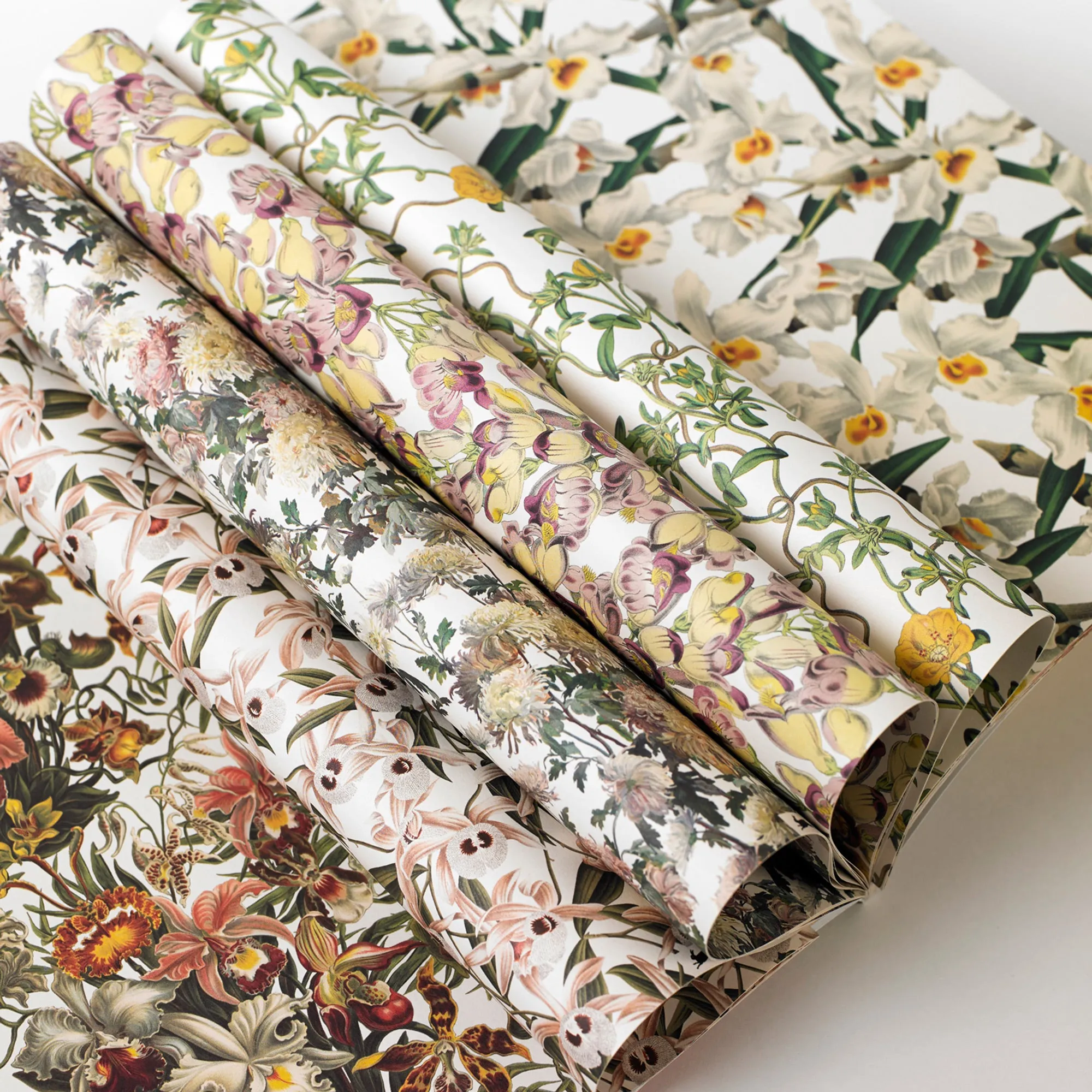 Gift & Creative Papers: Flower Prints