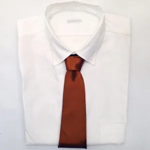 Glossy Orange Tie