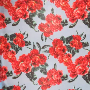 Red and Green Florals on Sky Blue Background Printed Silk Chiffon Fabric